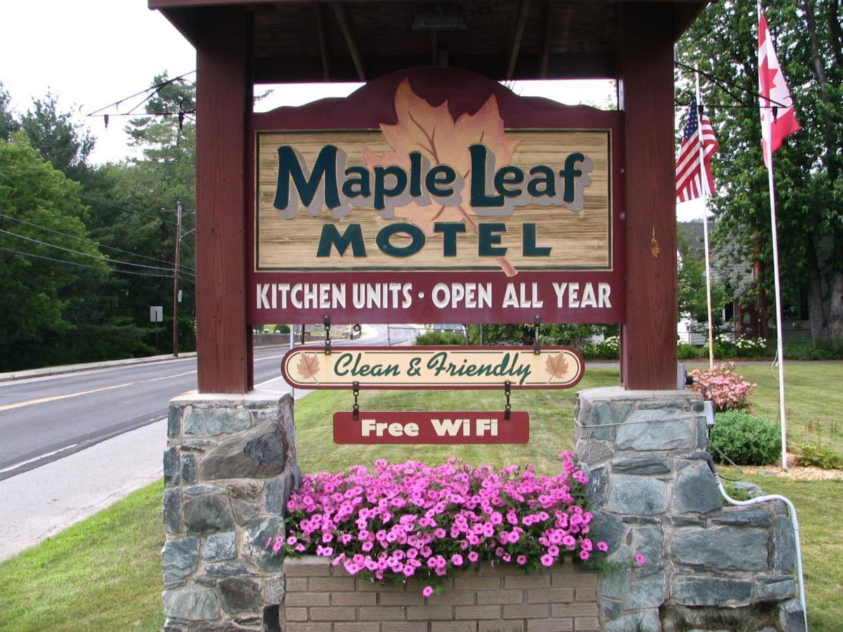 Maple Leaf Motel Littleton Esterno foto